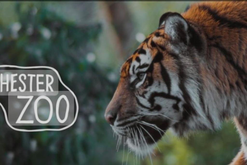 The Beautiful Bungalow Amazing Location For Chester & Zoo Wervin 외부 사진